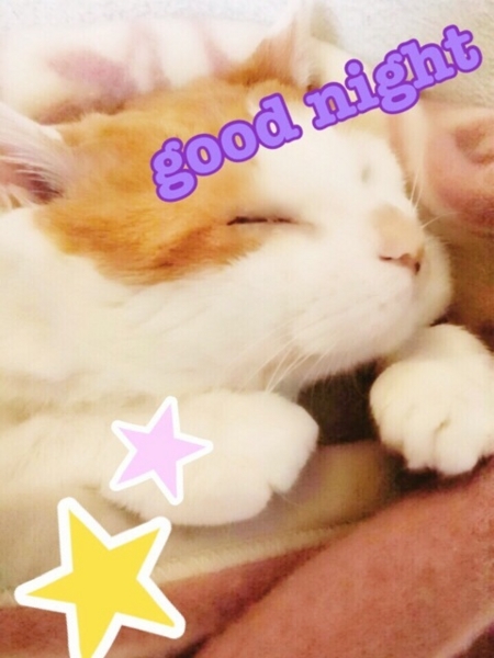 f:id:hot:20141030061547j:plain