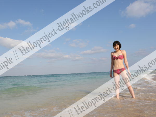 f:id:hot:20150323041014j:plain f:id:hot:20150323041014j:plain
