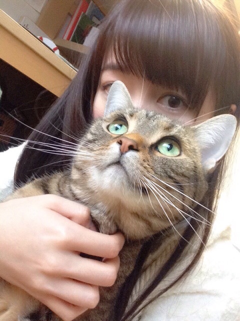 f:id:hot:20151220040954j:plain:w360