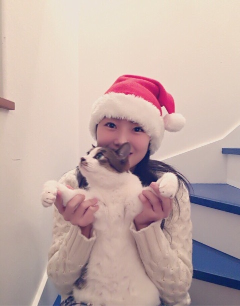 f:id:hot:20151226045245j:plain f:id:hot:20151226045245j:plain
