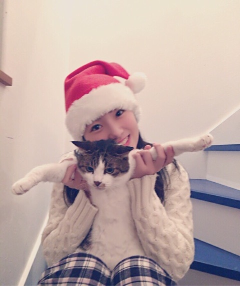 f:id:hot:20151226045253j:plain f:id:hot:20151226045253j:plain