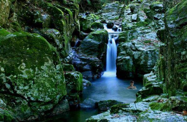f:id:hot:20151226131736j:plain