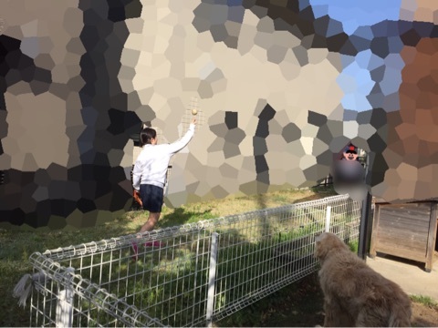 f:id:hot:20160421201431j:plain f:id:hot:20160421201431j:plain