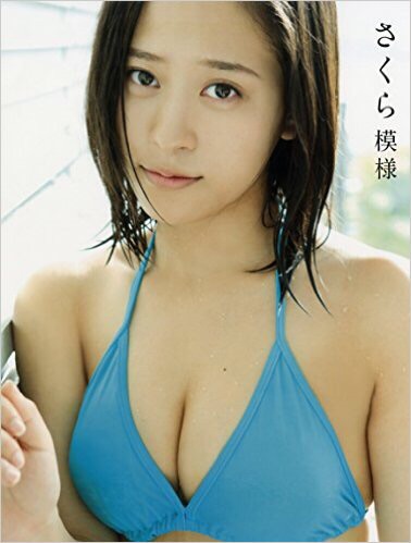 f:id:hot:20160516113402j:plain f:id:hot:20160516113402j:plain