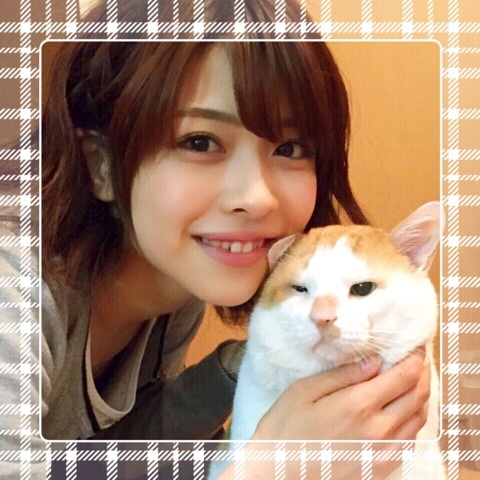 f:id:hot:20160529225020j:plain