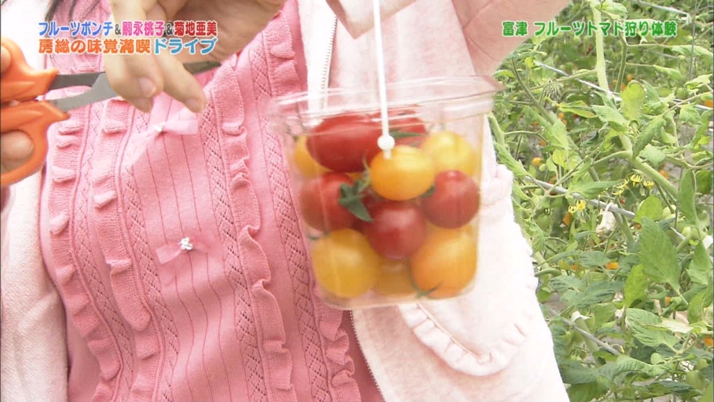 f:id:hot:20160530171558j:plain f:id:hot:20160530171558j:plain