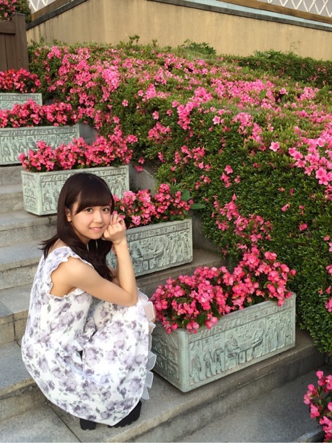 f:id:hot:20160708201128j:plain:w360