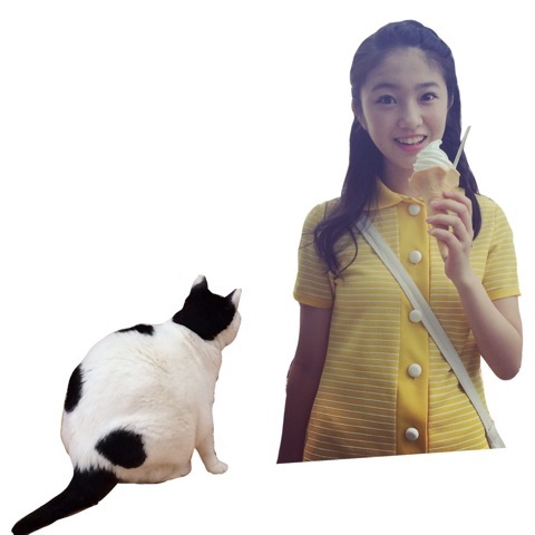 f:id:hot:20160716031316j:plain f:id:hot:20160716031316j:plain