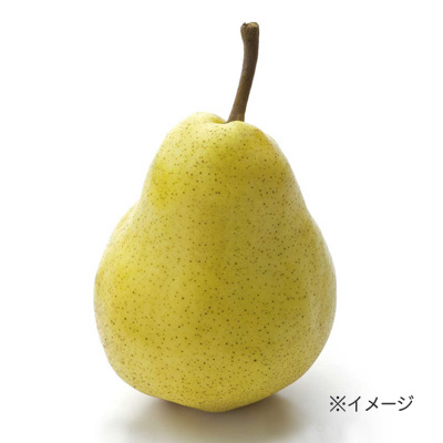 f:id:hot:20161030022103j:plain