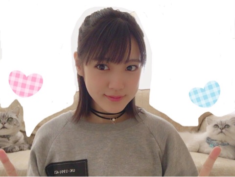 f:id:hot:20170201235540j:plain f:id:hot:20170201235540j:plain