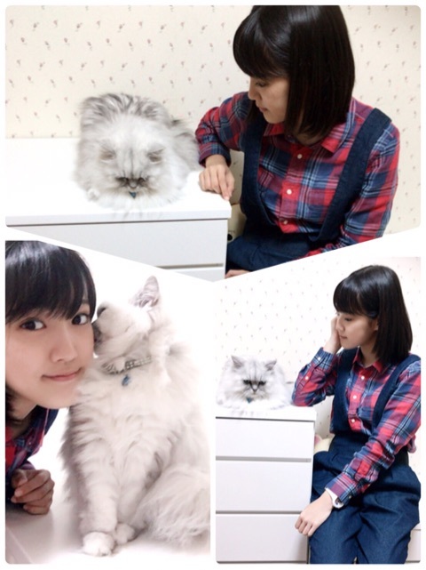 f:id:hot:20170201235801j:plain f:id:hot:20170201235801j:plain