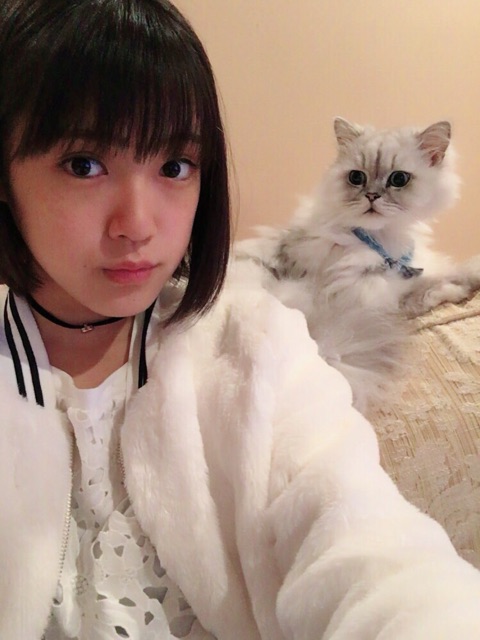 f:id:hot:20170201235827j:plain f:id:hot:20170201235827j:plain