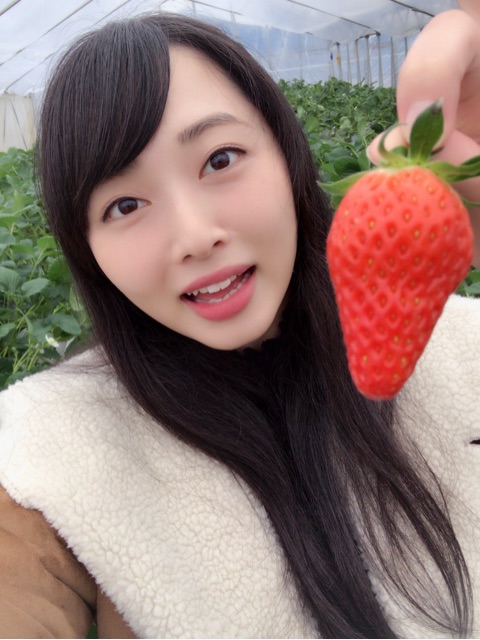 f:id:hot:20180119204243j:plain f:id:hot:20180119204243j:plain