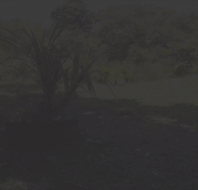 f:id:hot:20180809003421g:plain