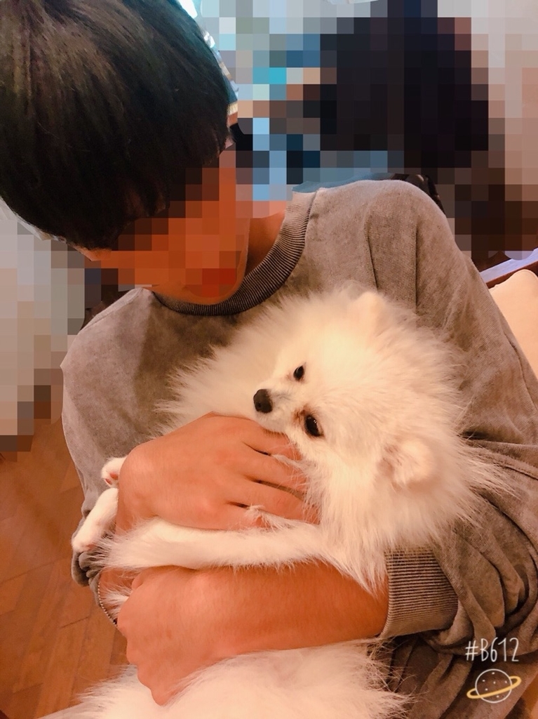 f:id:hot:20181015002912j:plain f:id:hot:20181015002912j:plain