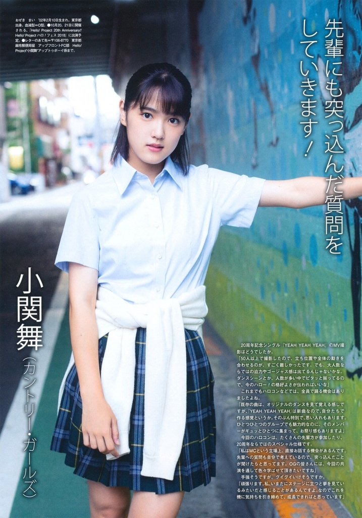f:id:hot:20181113163944j:plain