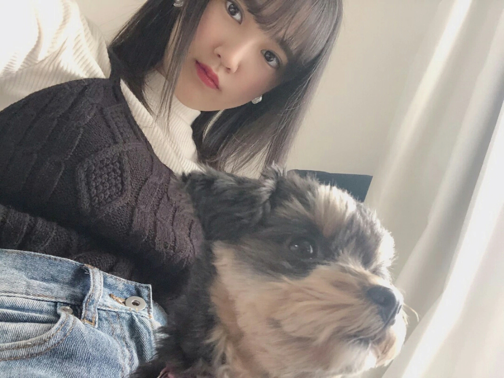 f:id:hot:20181231041412j:plain f:id:hot:20181231041412j:plain
