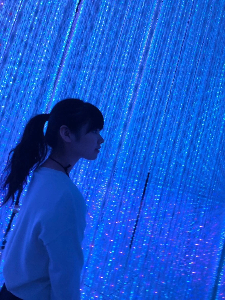 f:id:hot:20190111194938j:plain f:id:hot:20190111194938j:plain