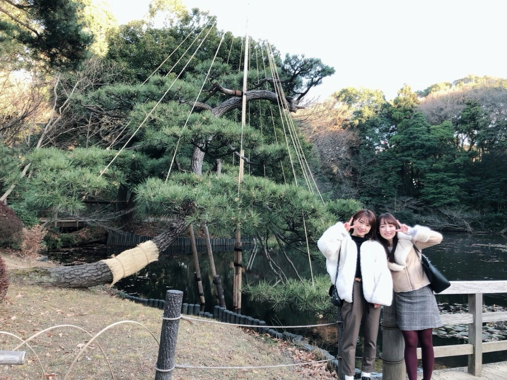 f:id:hot:20190112231716j:plain f:id:hot:20190112231716j:plain