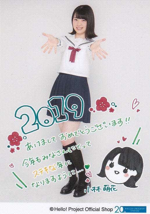 f:id:hot:20190207231237j:plain f:id:hot:20190207231237j:plain