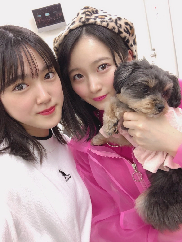 f:id:hot:20190220210145j:plain f:id:hot:20190220210145j:plain