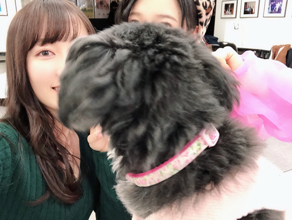 f:id:hot:20190220210244j:plain f:id:hot:20190220210244j:plain