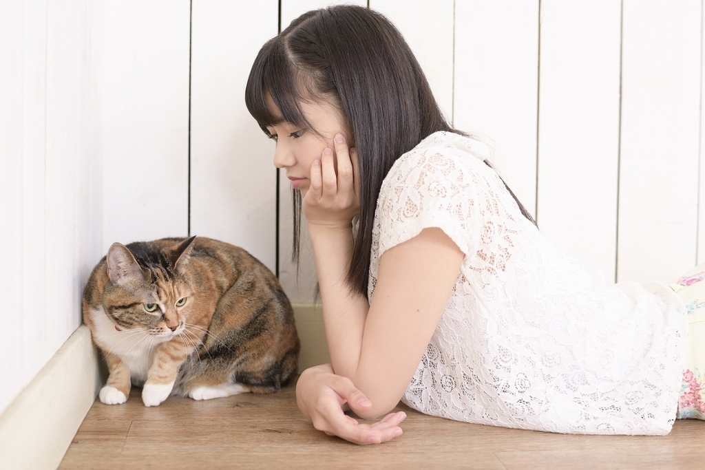 f:id:hot:20190222115654j:plain f:id:hot:20190222115654j:plain