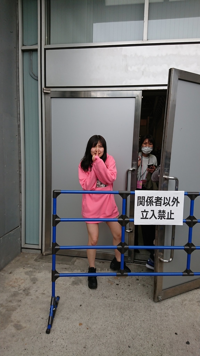 f:id:hot:20190331015529j:plain