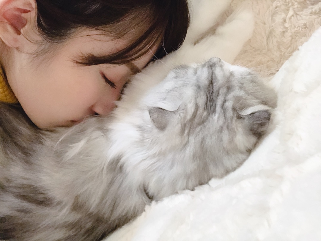 f:id:hot:20190408230039j:plain f:id:hot:20190408230039j:plain