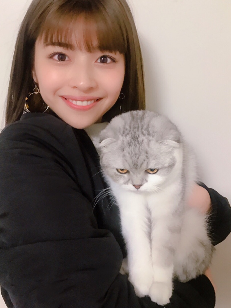 f:id:hot:20190416234010j:plain:w360