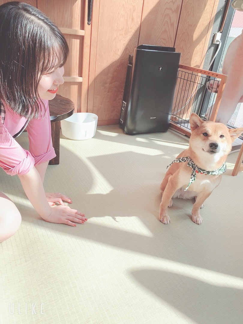 f:id:hot:20190426015718j:plain f:id:hot:20190426015718j:plain