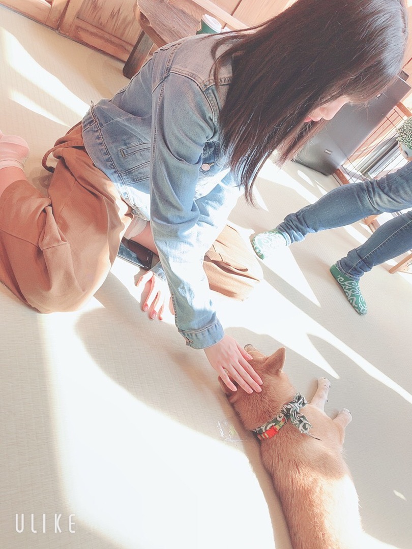 f:id:hot:20190426015727j:plain f:id:hot:20190426015727j:plain
