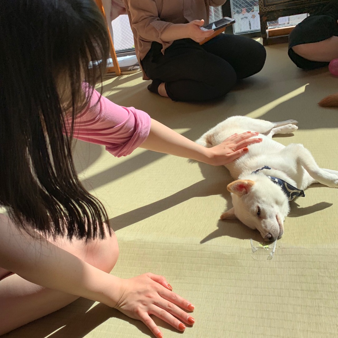 f:id:hot:20190426015740j:plain f:id:hot:20190426015740j:plain