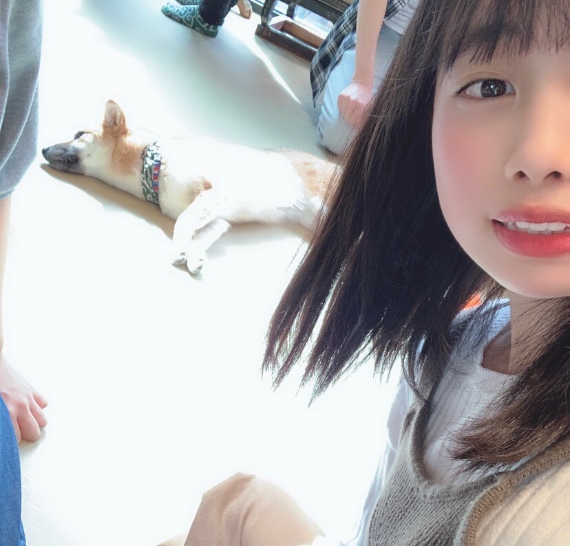 f:id:hot:20190426015753j:plain f:id:hot:20190426015753j:plain