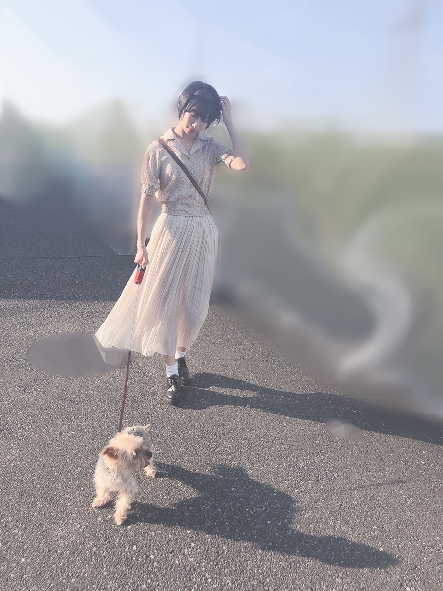 f:id:hot:20190918090158j:plain f:id:hot:20190918090158j:plain