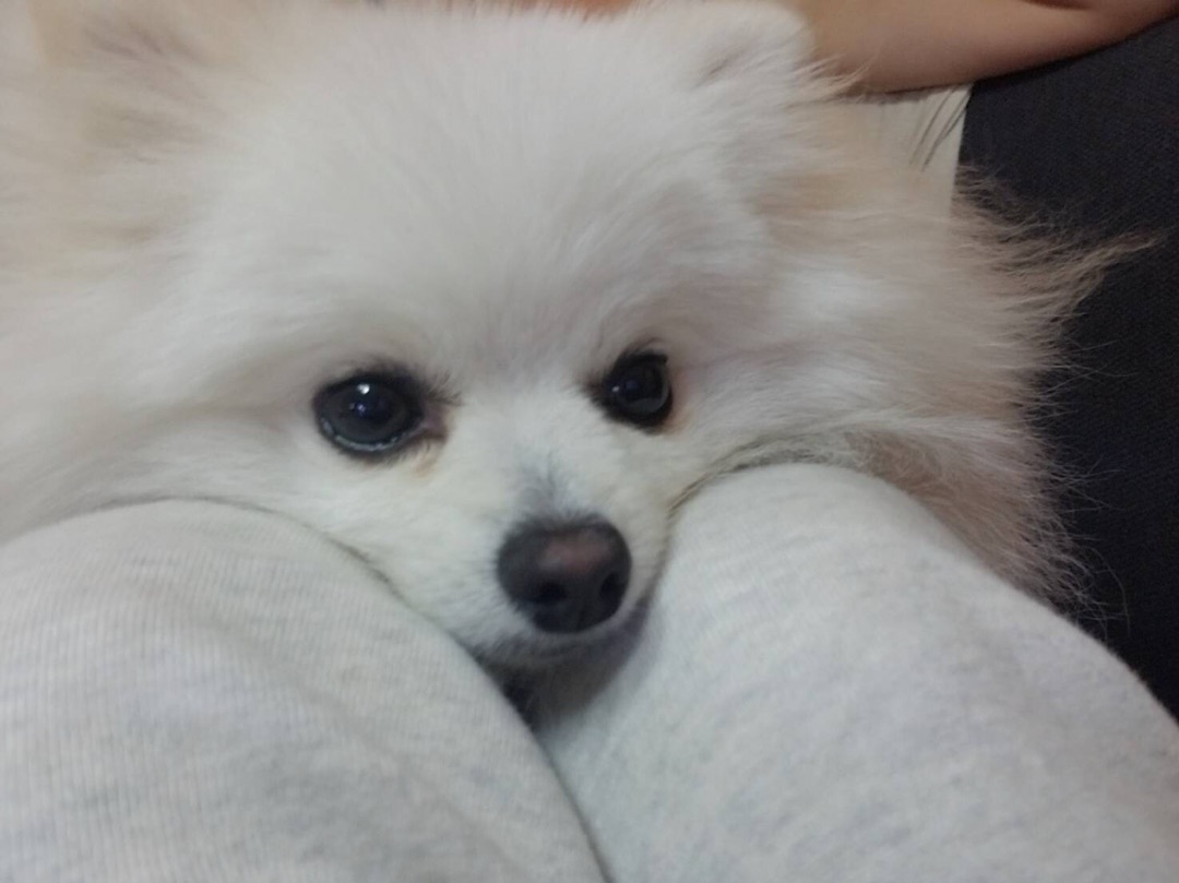 f:id:hot:20190930120921j:plain f:id:hot:20190930120921j:plain