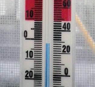 1109_-２℃.jpg