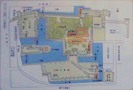 CIMG4320-1.jpg