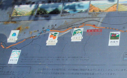 CIMG8840-5.jpg