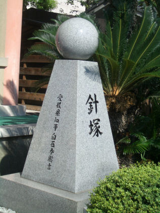 CIMG8799.JPG
