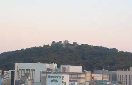 CIMG8763-1.jpg