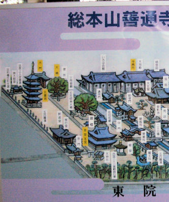 CIMG9077-1.jpg