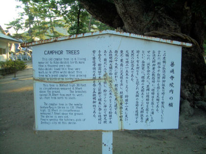 CIMG9038.JPG