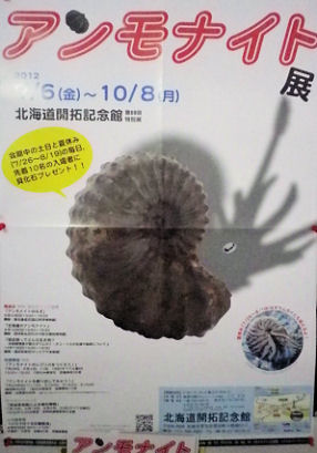 0617_アンモナイト展.jpg 0617_アンモナイト展.jpg
