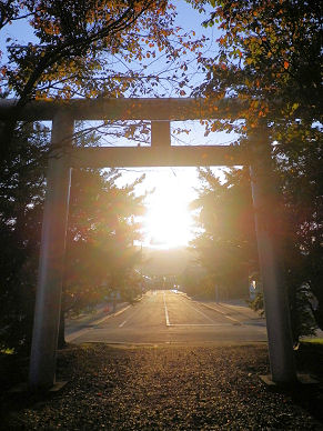 1010_鳥居と夕陽.jpg
