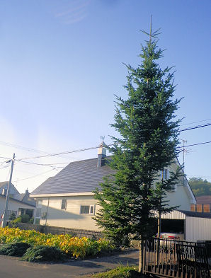 D5025北見.jpg