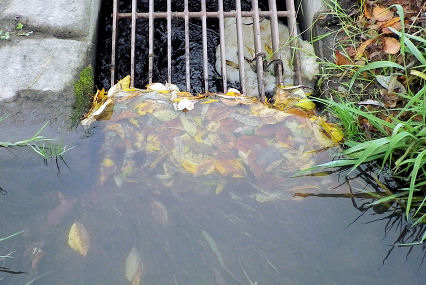 1011_草のダム.jpg 1011_草のダム.jpg