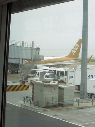 CIMG8596.JPG