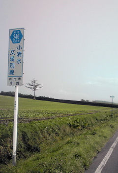 33_虚空の松.jpg