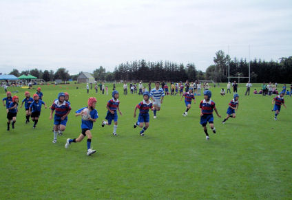 CIMG8686.JPG